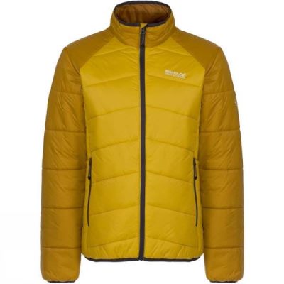 Chaquetas Regatta Icebound II Hombre - Amarillo - Chile NSW456832